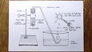 HOW TO DRAW REACTION OF ZINC GRANULES WITH DILUTE SULPHURIC ACID AND TESTING HYDROGEN GAS BY BURNING