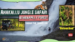 ANAKALLU JUNGLE SAFARI | ATHIRAPPILLY FOREST SAFARI |അതിരപ്പിള്ളി ഉൾക്കാടുകൾ അറിയാൻ അവസരം