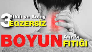 Boyun Fıtığı İyileşir mi ? Boyun Ağrısı Boyun Fıtığı Boynu Rahatlatan Egzersizler