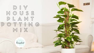 How to Make Homemade House Plant Soil Mix || Indoor Plant Care Tips