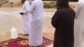 يصلون وسال الشعيب عليهم ولم يقطعوا صلاتهم.