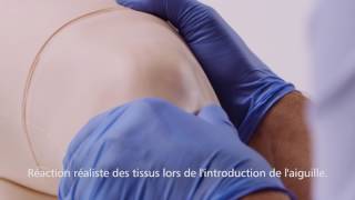 Genou d'entraînement à l'aspiration et à l'injection avec fonctions d'échographie.