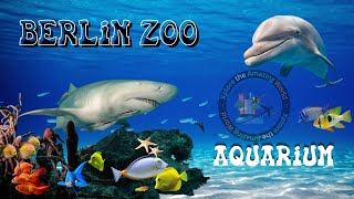 Berlin Zoo Aquarium | Largest Fish Aquarium in Germany | Zoo Berlin