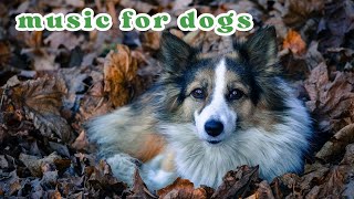 1 HR Ultimate Relaxation: Soothing Music for Cats & Dogs Anti Anxiety