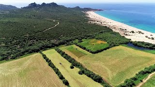 Murtoli, terre ancestrale... contée par Paul Poli