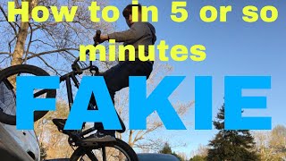 How to in 5 or so minutes: Fakie