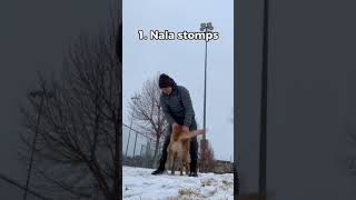 Nala stomps, flops, and smushes. How they started!