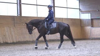 Nathalie - skridt med sædet / Princess Nathalie - walk with the seat