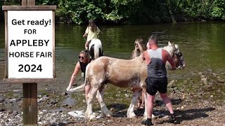 Saddle Up!!! Appleby Horse Fair 2024!!