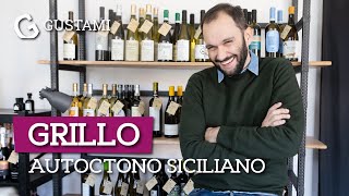 Grillo, autoctono siciliano