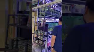 Impresionante Mercado de peces en Tailandia 🇹🇭