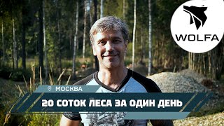 Как мы 20 соток леса за один день расчистили!