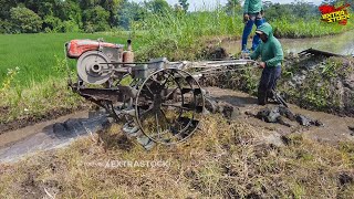 Meski Musim Kemarau Traktor Sawah Masih Lanjut Mengolah Lahan Basah