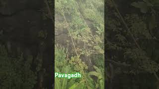 Pavagadh Riding