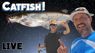 NIGHT Catfishing live! #fish #fishing #catfish