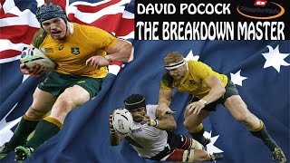 DAVID POCOCK - "Breakdown master" - RWC2015 Highlights