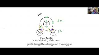 Polar molecules due to unequal sharing of electrons