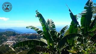 Cómo Se Hace el Mejor Café Organico de México - Caminos Que Enseñan