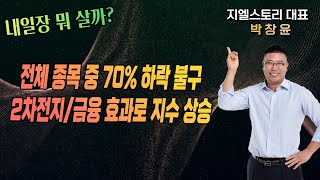 [내일장 뭐 살까?] 시장 전체 종목 중 70% 하락 불구 2차전지 및 금융 섹터 효과로 지수는 상승, 대응 전략은? | 박창윤 대표 | 주식 | 주가 | 투자 |