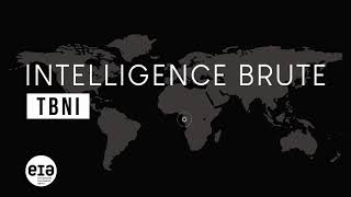 Intelligence Brute: TBNI (French)