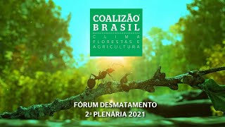 2ª Plenária Coalizão Brasil 2021 - FÓRUM DESMATAMENTO