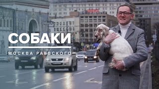 СОБАКИ | История Москвы - Москва Раевского