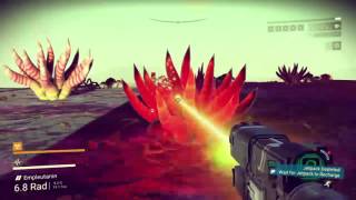 No Mans Sky - Learning as we go