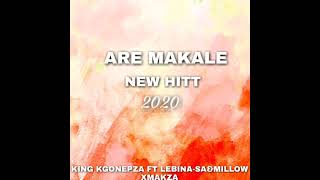 king%kgonepza%ft%lebina%SA%Are makale