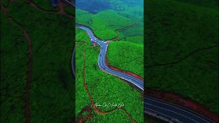 Munnar-Theni, Gap Road, Munnar 🤩❤️‍ #shorts #shortvideo #youtubeshorts #naturelovers #short #nature