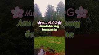 🌸Мини VLOG🌸 Лето подходит к концу  #рекомендации #влог