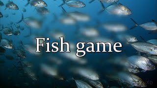 Fish Game | Simple Fish Adventures