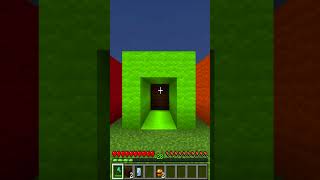 EM QUAL TÚNEL ESTÁ O FLASH NO MINECRAFT!! #shorts  ‹ LOBINHO ›