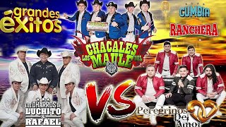 Los Peregrinos del Amor, Los Charros de Luchito y Rafael,Los Chacales del Maule - GRANDES EXITOS MIX