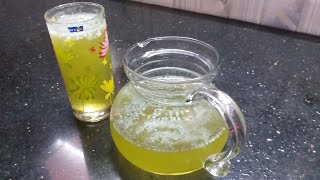 HEALTHY MINT JUICE RECIPE 😋😋