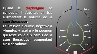 Kinésithérapie Respiratoire 2 : La Ventilation Pulmonaire