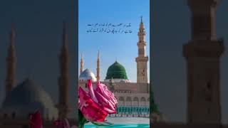 beautiful status video ❤️ Kaneez Fatima Attariya 🌸🏵️🌼🌻🌺🥀🌹💐😍(1)