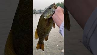 FIRST EVER SMALLIE?!?!!