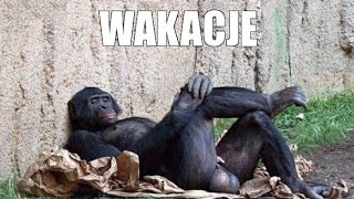 No I Wakacje ! ! ! !