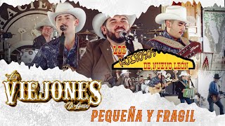 Los Viejones de Linares feat @LosRuidososDeNuevoLeon  Pequeña y Frágil