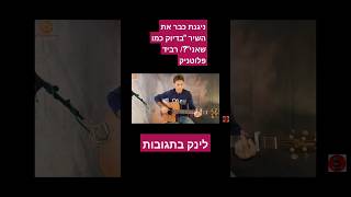 #רבידפלוטניק #בדיוקכמושא י #guitarclick