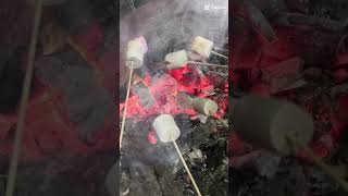 Roasted Marshmallow #bonfire #campfire