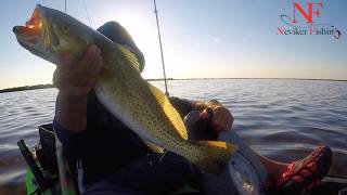 Corvinas Gigantes en Kayak / pesca yucatan / pesca en kayak