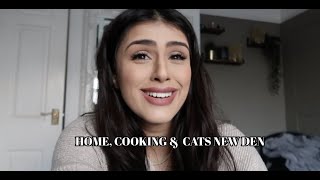 BUILDING A CAT DEN & HOMEMADE TOMATO SOUP! | VLOG