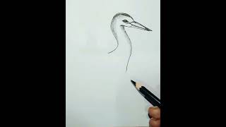 White Stork drawing #shorts