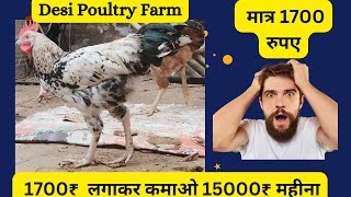 मात्र 1700 रुपए लगाकर कमाए ₹15000 महीना😱| Desi Murgi Palan | poultry video| @YogiBreedingFarm