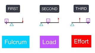 The EASIEST way to Classify Levers (STEP BY STEP WALKTHROUGH) With Examples