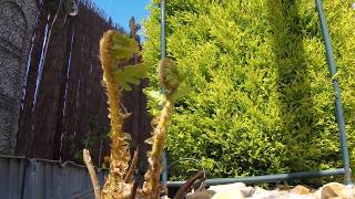 Time lapse on a Bracken 2 rain stops play