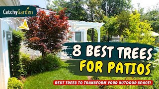 8 BEST TREES TO TRANSFORM YOUR OUTDOOR SPACE! 🌟🌳🏡 // Gardening Ideas