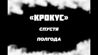 Ровно полгода с кровавой бойни в «Крокусе».