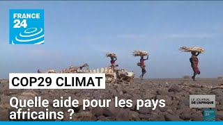 Financement climat à la COP29 : quelle aide pour les pays africains ? • FRANCE 24